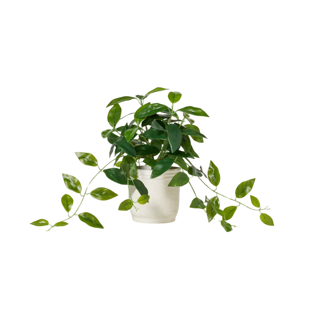 Faux Hoya Plant