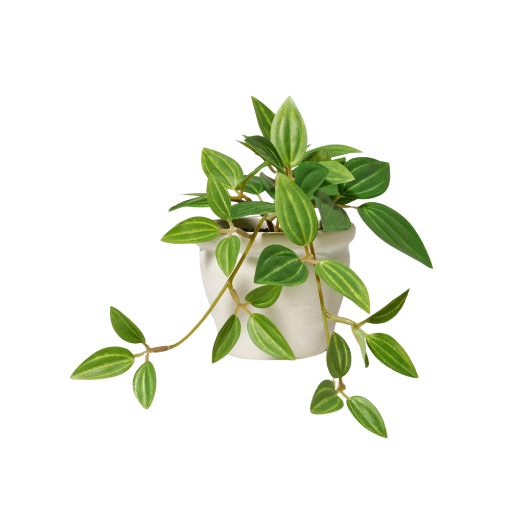 Mini Faux Ivy Plant