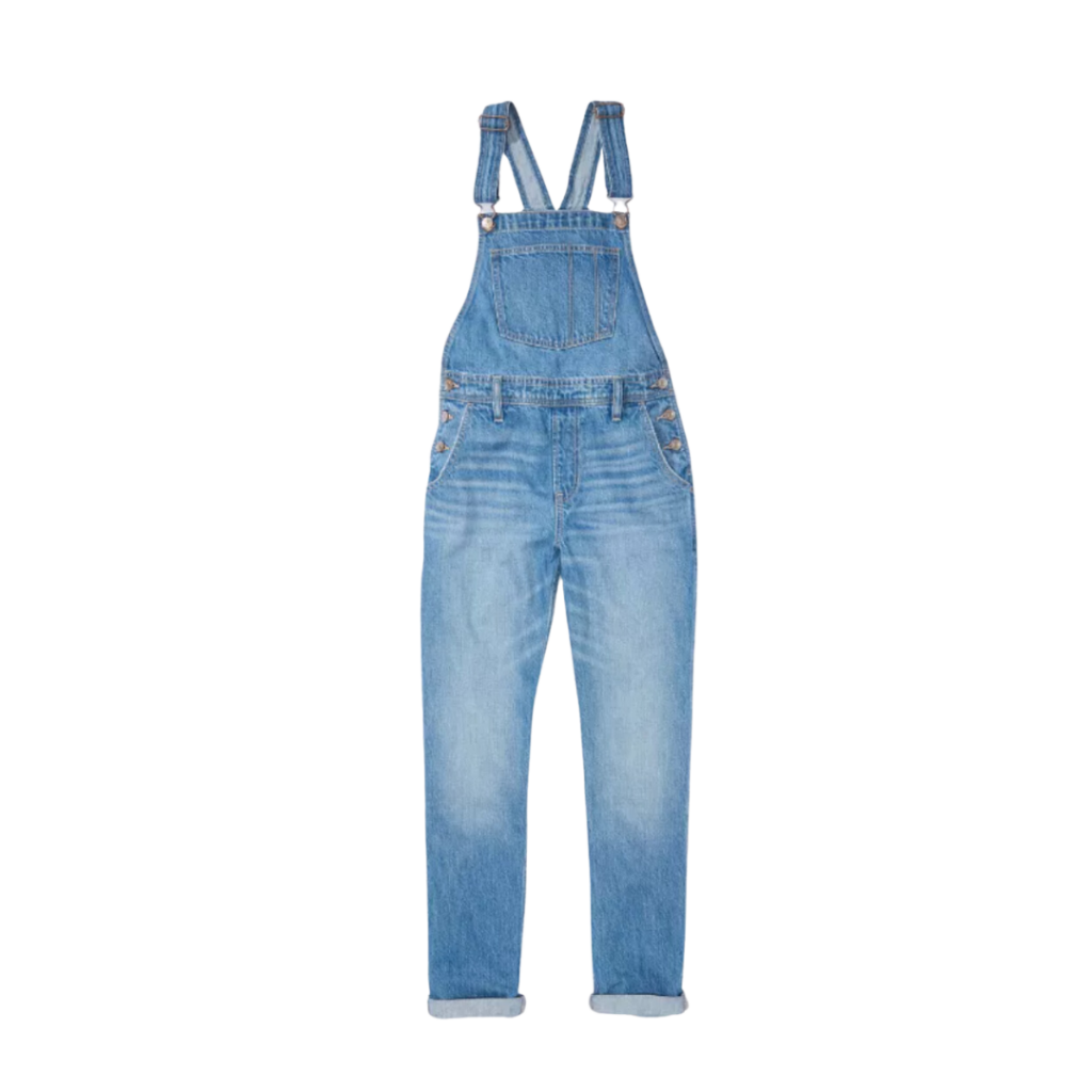 AE Denim Overalls